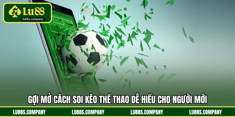 Gợi mở cách soi kèo thể thao dễ hiểu cho người mới