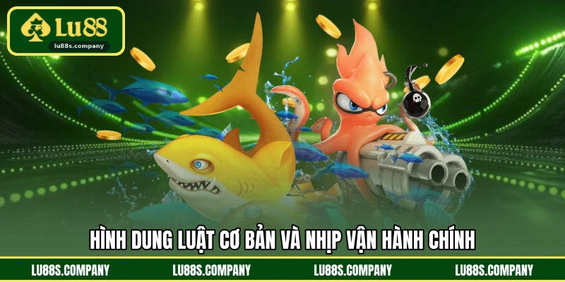 Hình dung luật cơ bản và nhịp vận hành chính