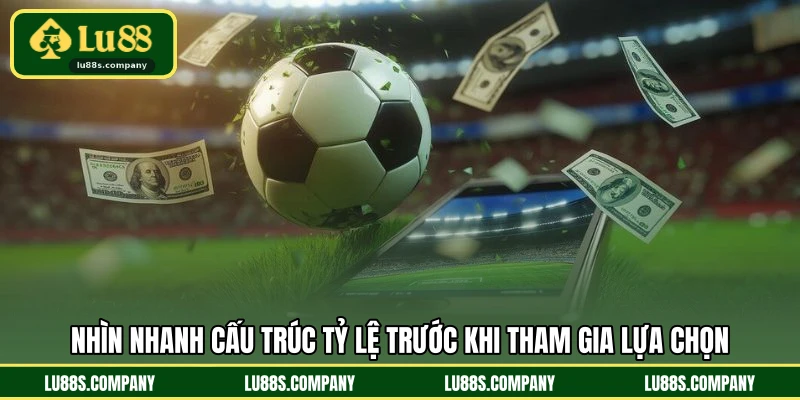 Nhìn nhanh cấu trúc tỷ lệ trước khi tham gia lựa chọn